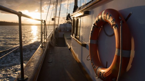 Sailing tour Vancouver Island