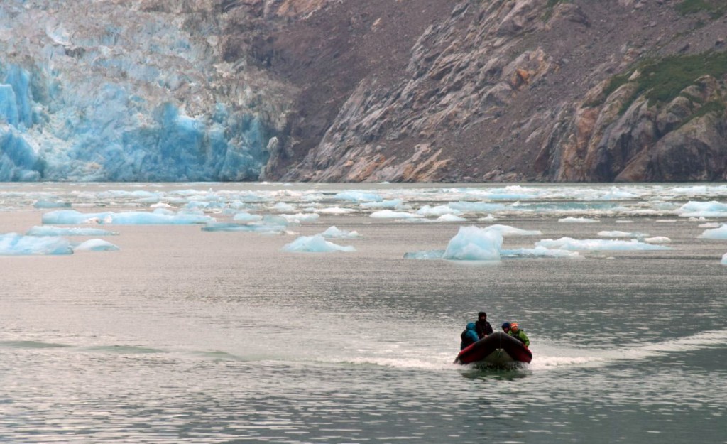 Returning to the ship after adventuring among the bergs in front of the glacier. Photo by Steve Kempton