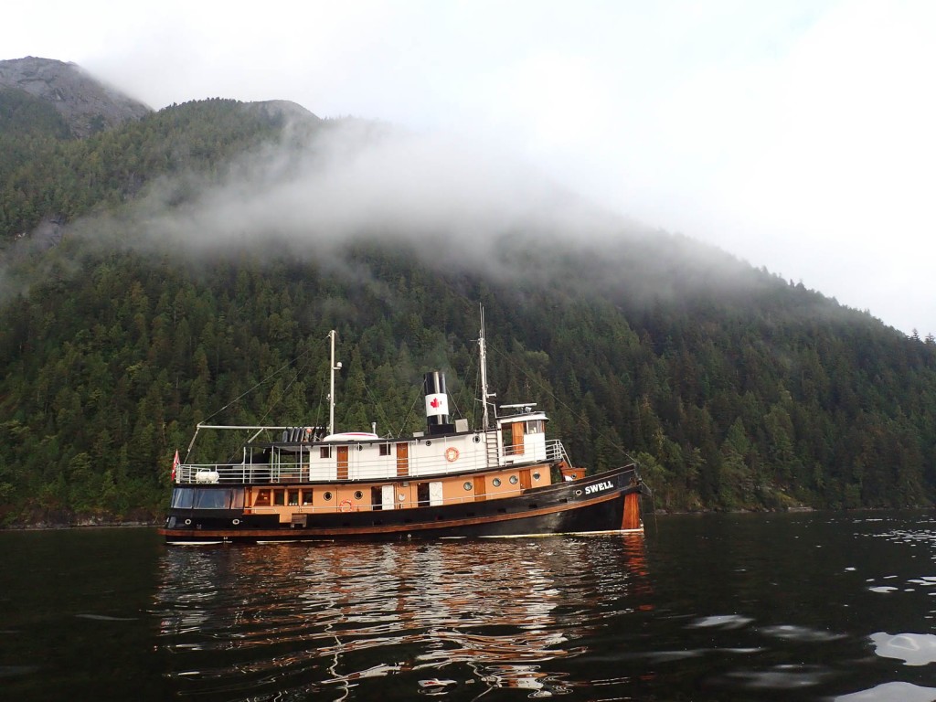 Swell in the Great Bear Rainforest. Photo by Philip Stone.