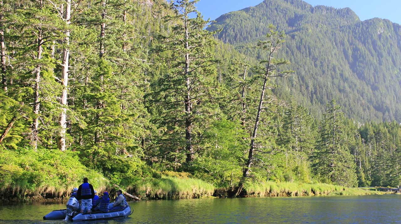 Exploring Vancouver Island's natural beauty by boat