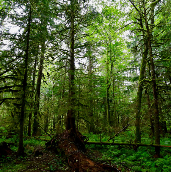kayti-coonjohn-twg_u1iugda-unsplash-1-7