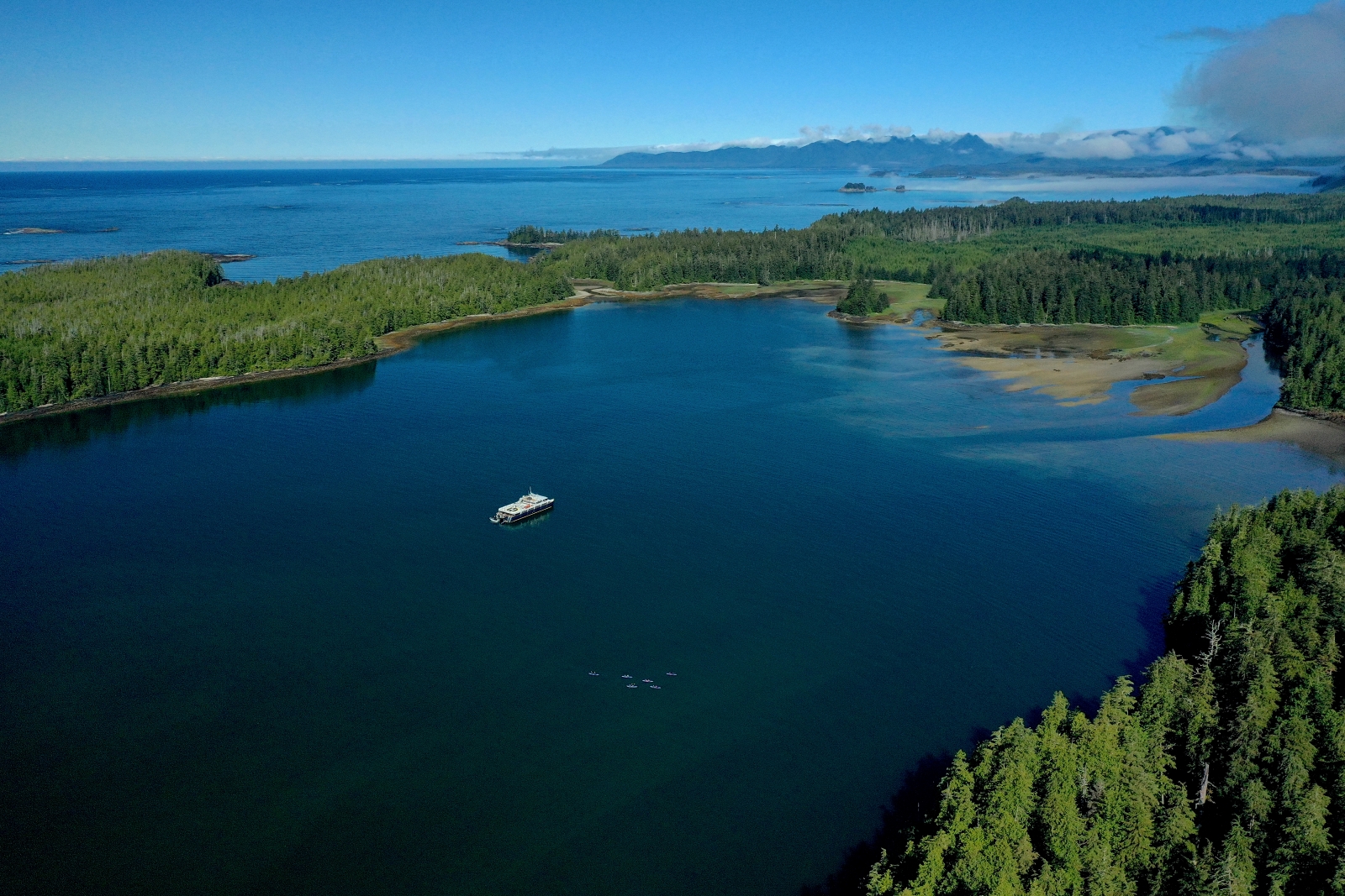 best tours vancouver island