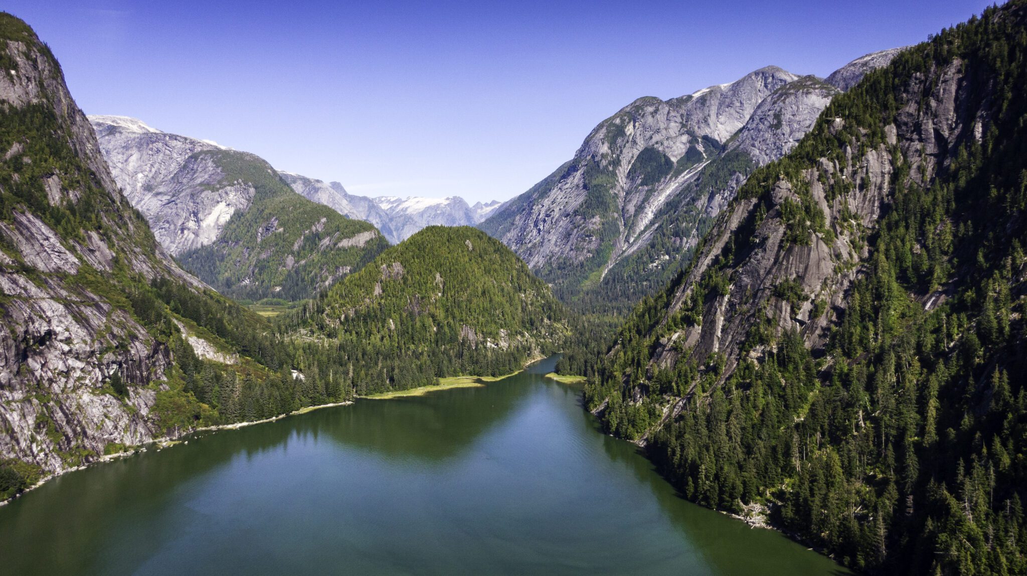 Expedition Notes: Kitlope Valley Aboard Swell, 2022 | Great Bear ...