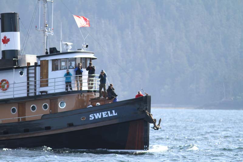 HaidaGwaii-Swell-KevinSmith