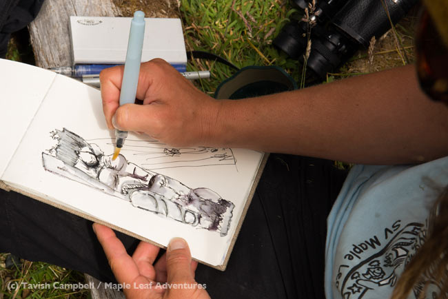 Sketching at SGang Gwaay on the trip. Photo by Tavish Campbell