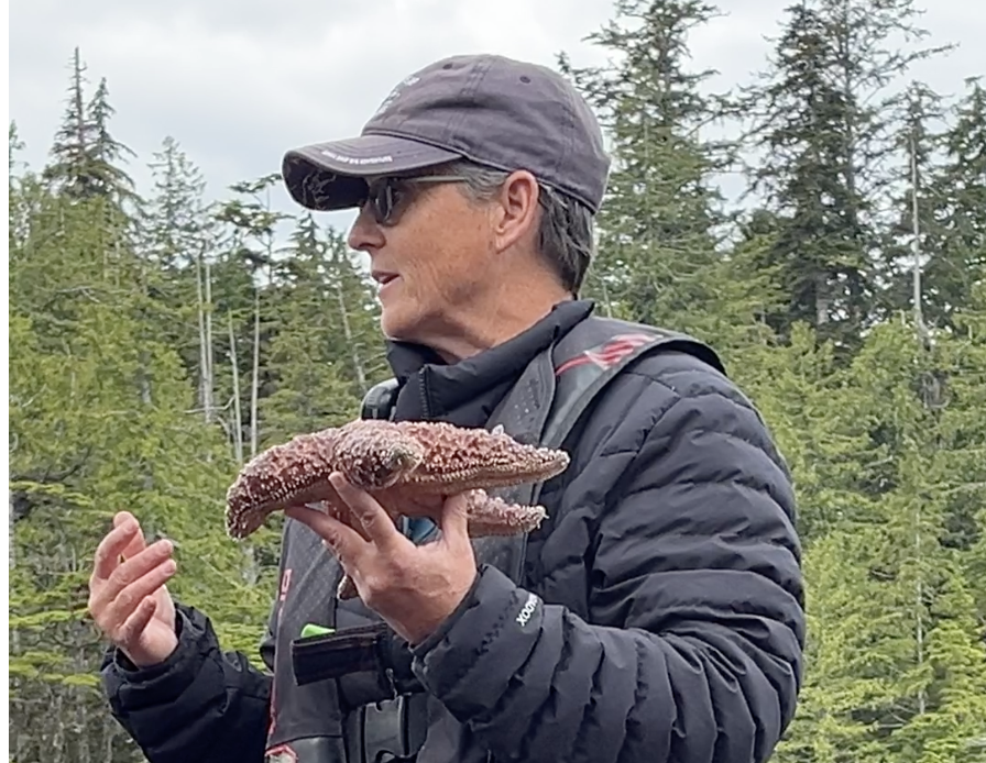 A professional headshot of Deb Cowper holding a starfish.