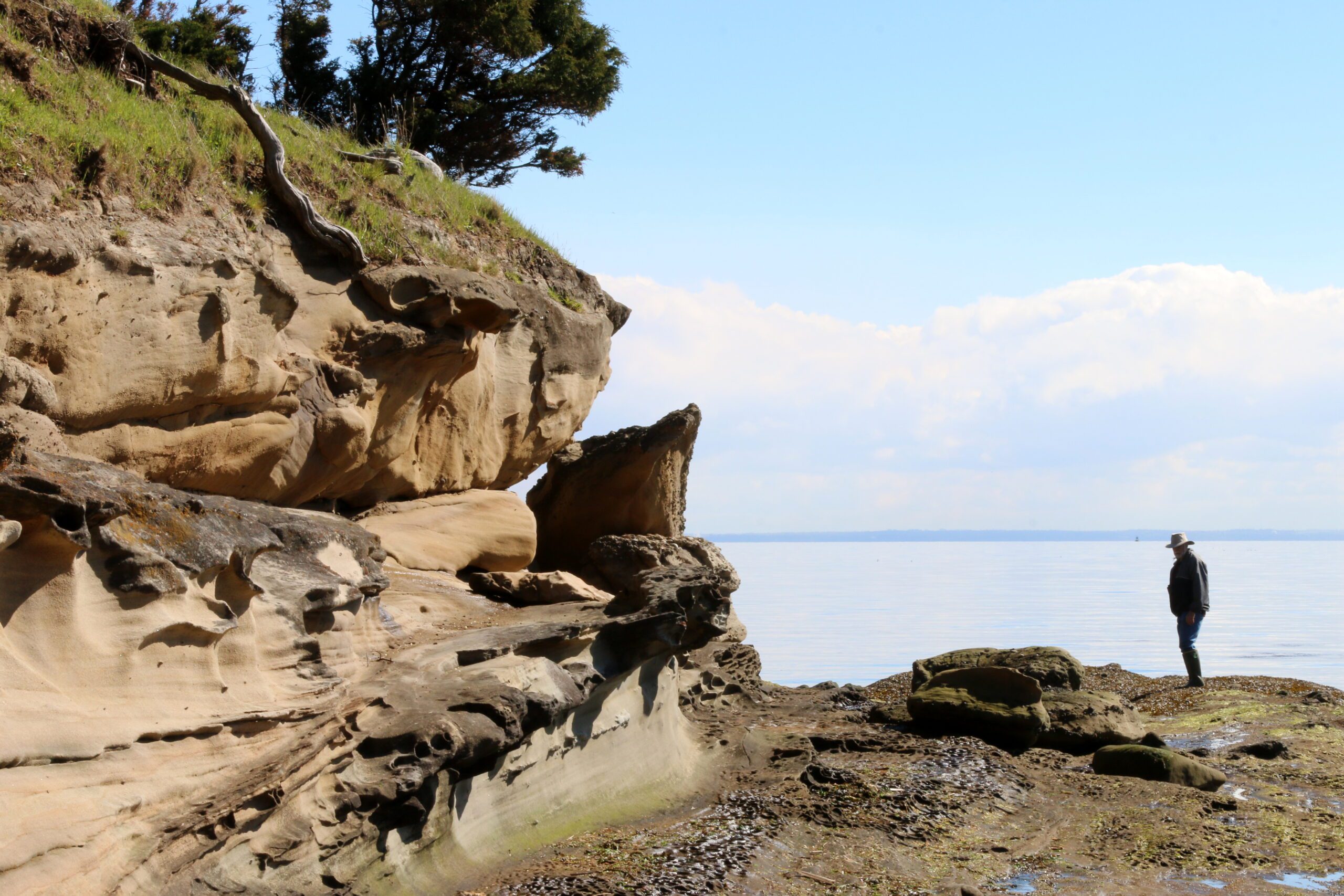 Walk along the sculpted sandstone shores of the Gulf Islands National Park Reserve