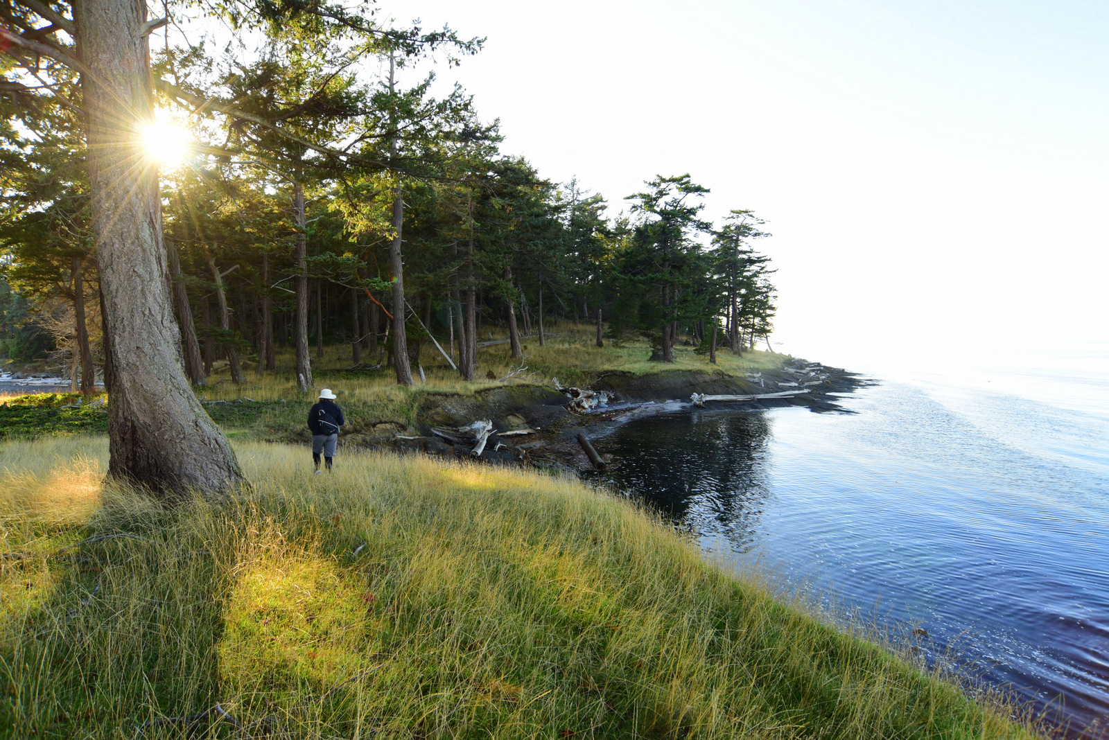 Sunlit shores and quiet trails are throughout the Gulf Island National Park Reserve